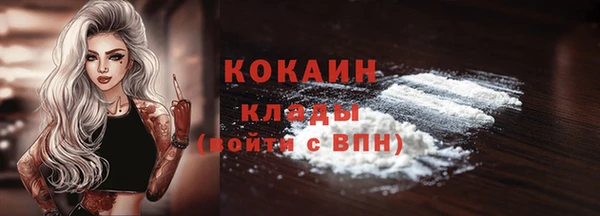 ECSTASY Богородицк