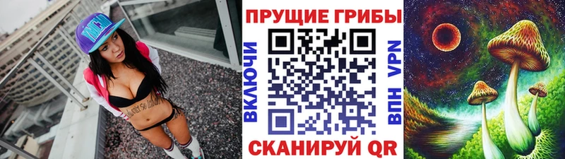 Псилоцибиновые грибы Cubensis  Верещагино 
